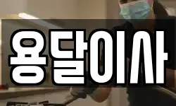 용달이사