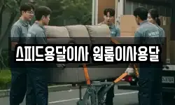 스피드용달이사 원룸이사용달