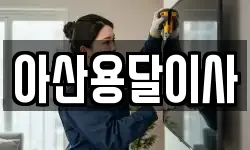 아산용달이사