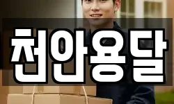 천안용달