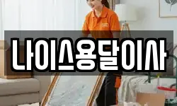 나이스용달이사