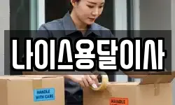 나이스용달이사