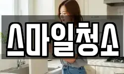 스마일청소