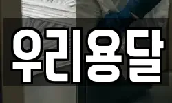 우리용달