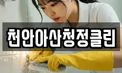 천안아산청정클린