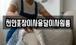 천안포장이사용달이사원룸