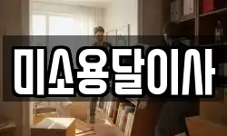 미소용달이사