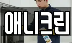 애니크린