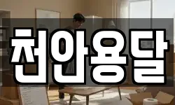 천안용달