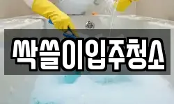 싹쓸이입주청소