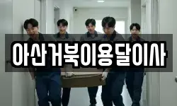아산거북이용달이사