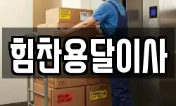 힘찬용달이사