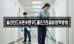 블라인드커튼커텐우드롤스크린콤비암막방염