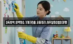 소독방역.외벽청소.기계크린룸.유품정리.사무실청소벌초대행