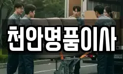 천안명품이사