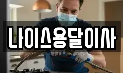 나이스용달이사