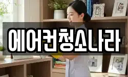 충청남도 아산시 좌부동 청소,입주청소,사무실청소,에어컨청소