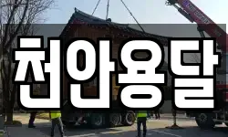 천안용달
