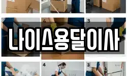 나이스용달이사