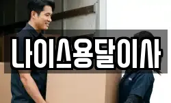 나이스용달이사