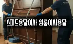 스피드용달이사 원룸이사용달