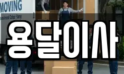 용달이사