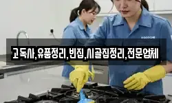 충청남도 예산군 대흥면 청소,입주청소,사무실청소,에어컨청소