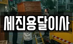 세진용달이사