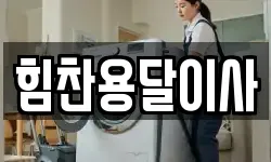 힘찬용달이사