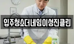 입주청소더네임이성진클린