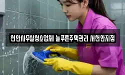 천안사무실청소업체 늘푸른주택관리 서천안지점