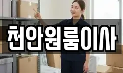 천안원룸이사