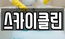 스카이클린
