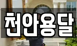 천안용달
