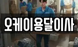 오케이용달이사