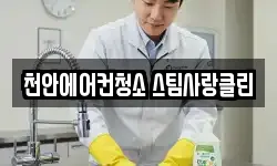 충청남도 천안시 동남구 병천면 청소,입주청소,사무실청소,에어컨청소