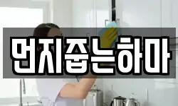 먼지줍는하마