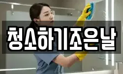 청소하기조은날