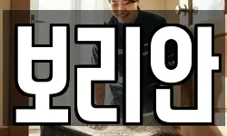 보리안