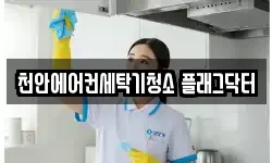 천안에어컨세탁기청소 플래그닥터