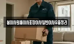 봄이사원룸이사포장이사일반이사유품정리