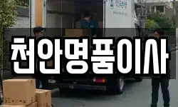 천안명품이사