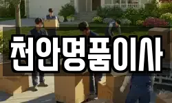 천안명품이사