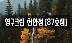 영구크린 천안점(87호점)