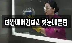 천안에어컨청소 첫눈애클린