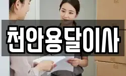 천안용달이사