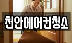 충청남도 천안시 동남구 신부동 청소,입주청소,사무실청소,에어컨청소