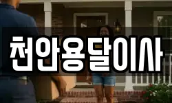 천안용달이사