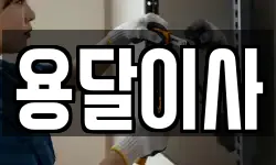 용달이사