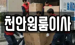 천안원룸이사